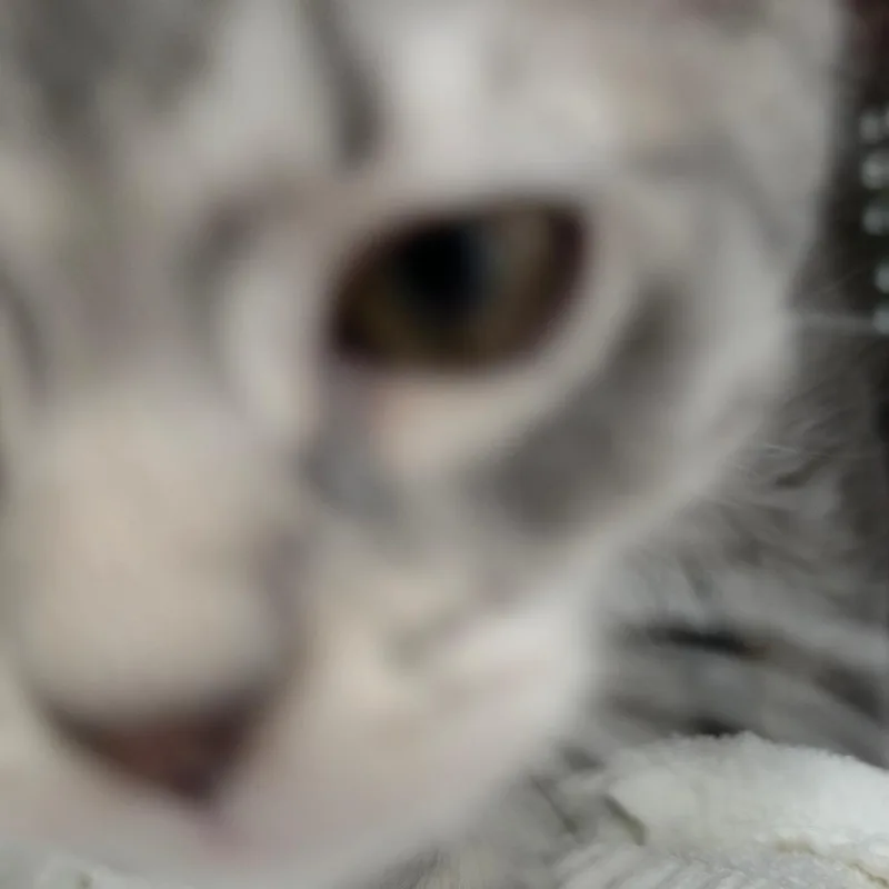 A Pixi thumbnail 2