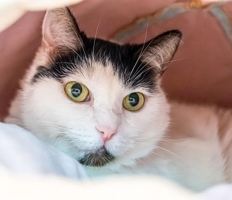 Maggie  Kbc thumbnail 3