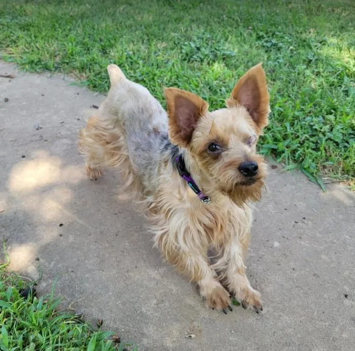 Mila in TX