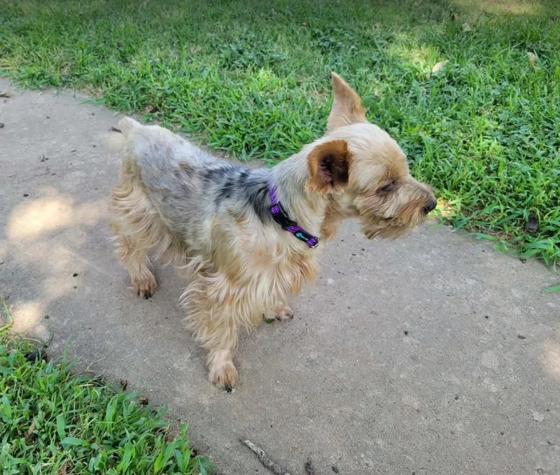 Mila in TX thumbnail 2