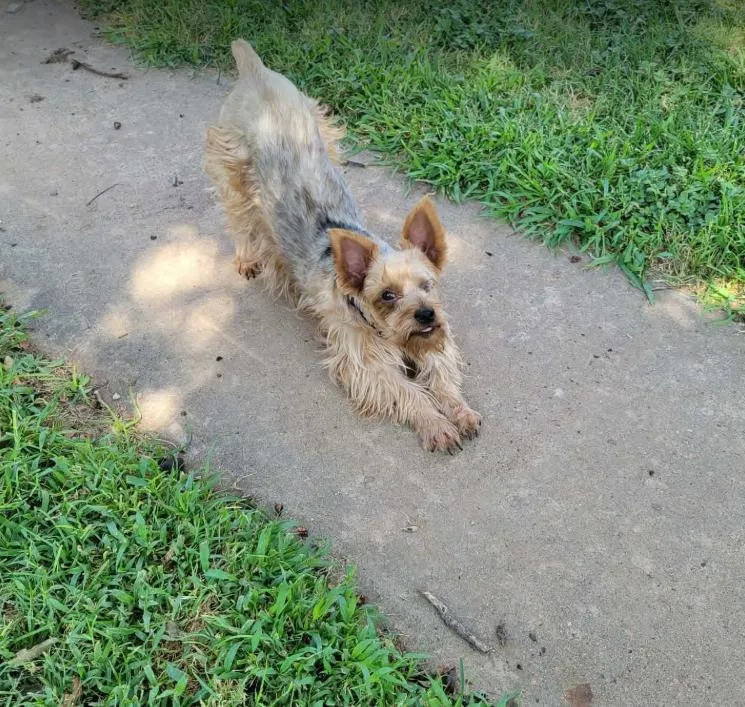 Mila in TX thumbnail 3