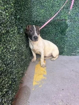 No Name