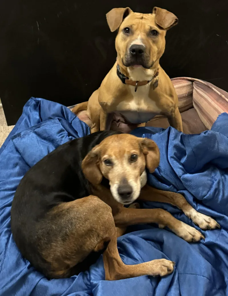 Sammy Jammy thumbnail 2