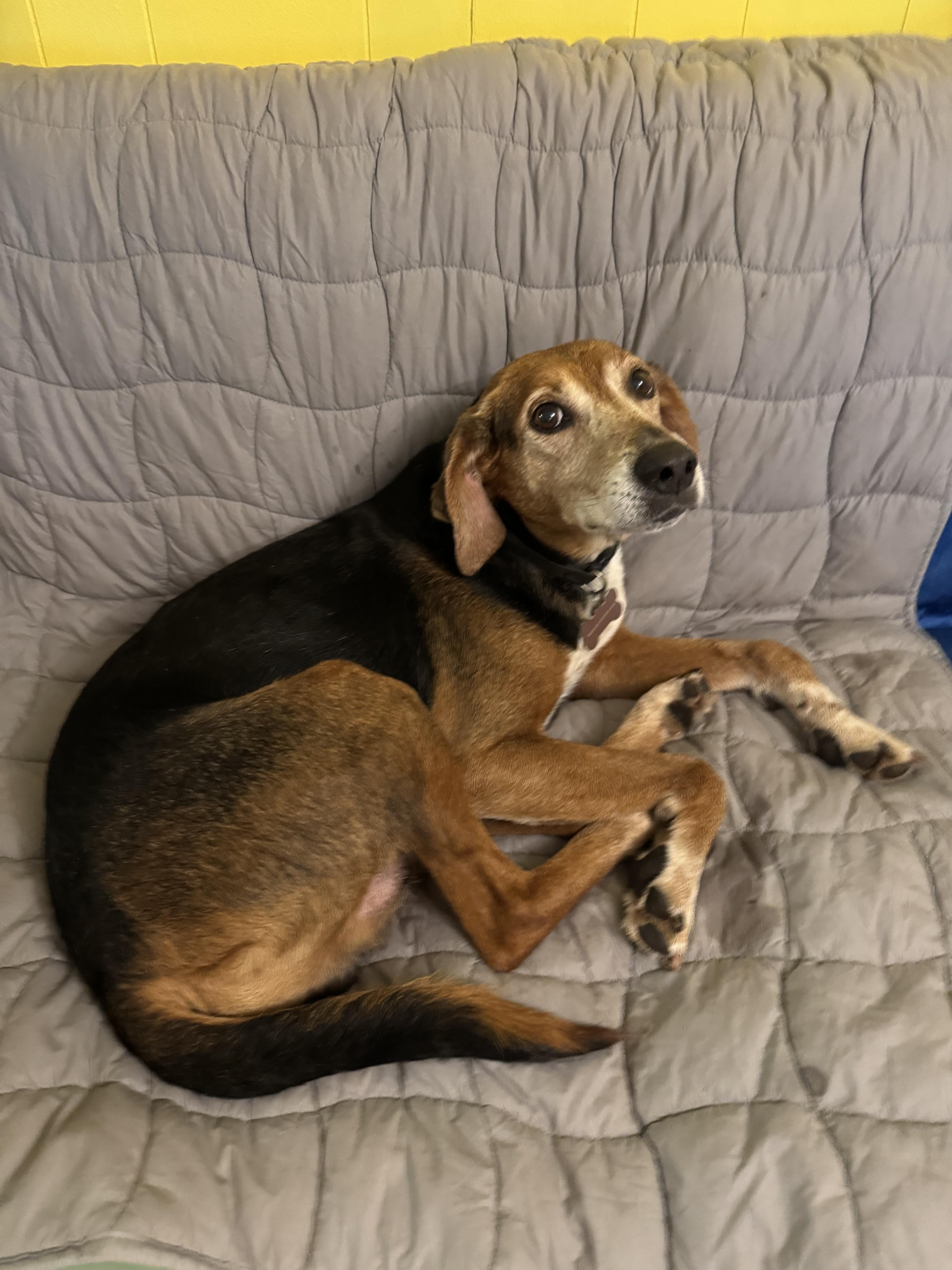 Sammy Jammy thumbnail 3