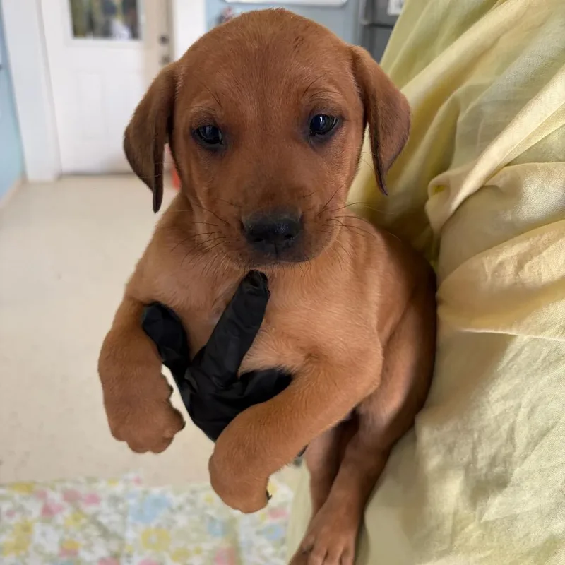 Spongebob thumbnail 2