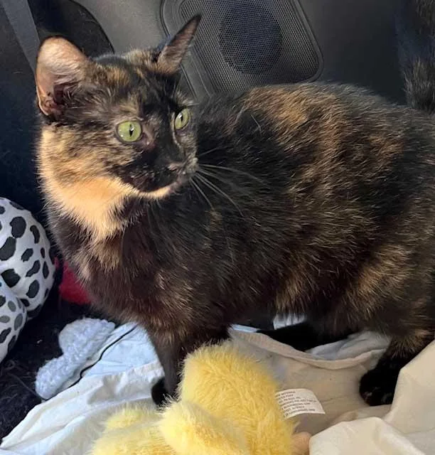 Magnificent Mama May thumbnail 2