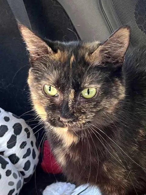 Magnificent Mama May thumbnail 3