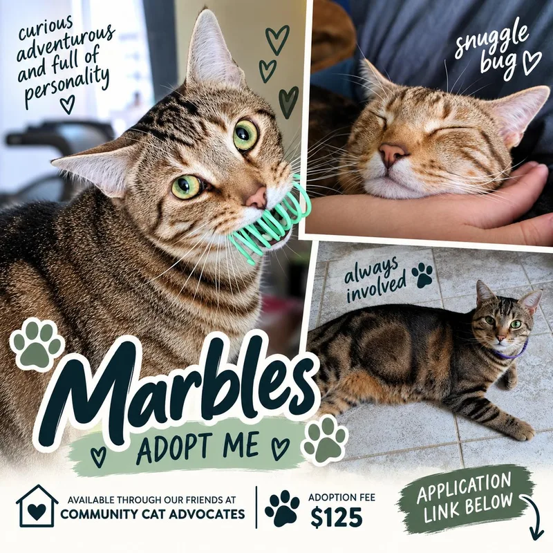 Marbles thumbnail 2