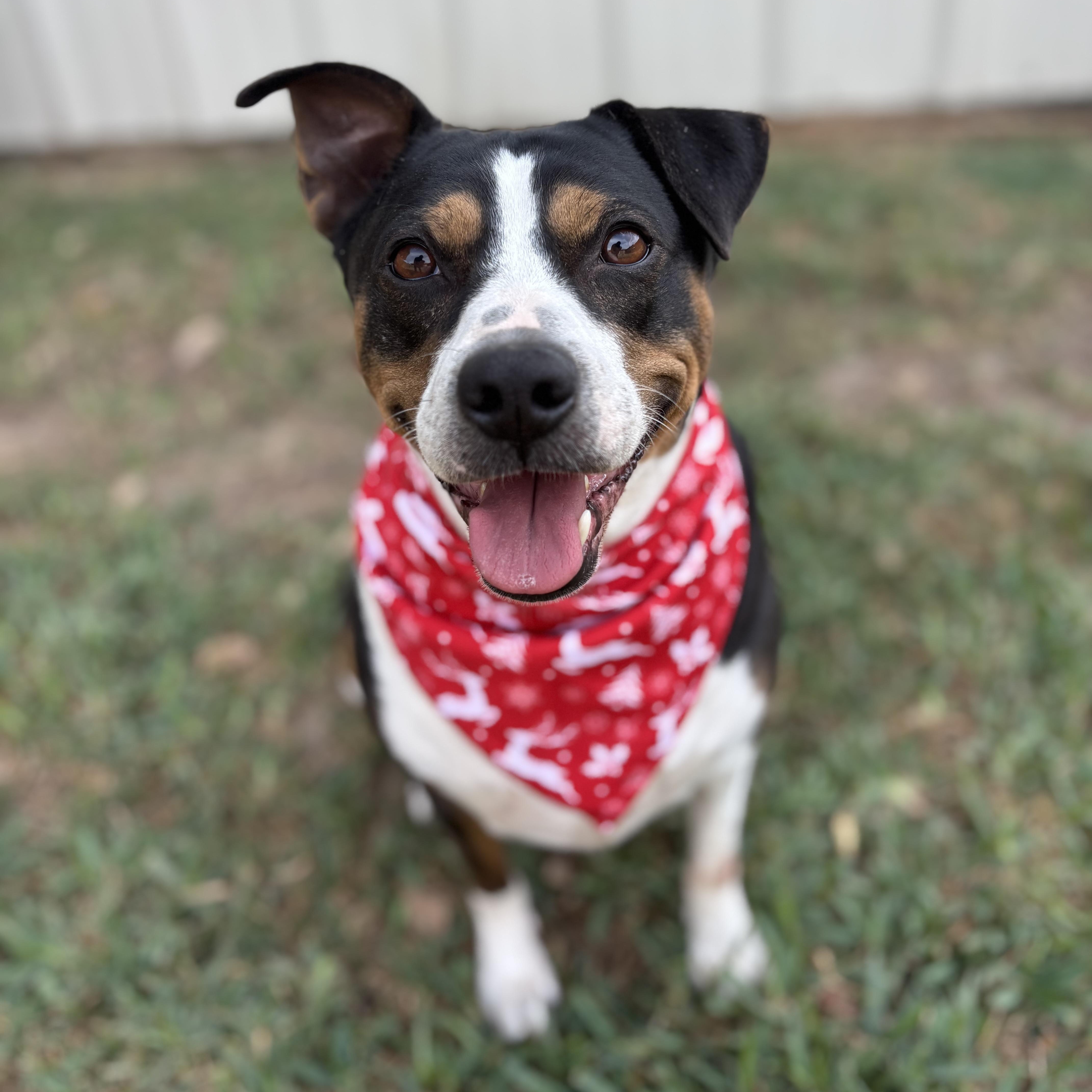 Toosie Gs thumbnail 4