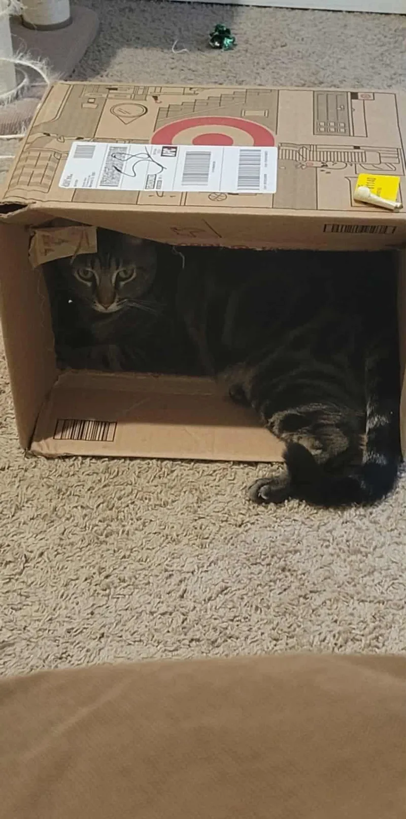 Motomoto thumbnail 2