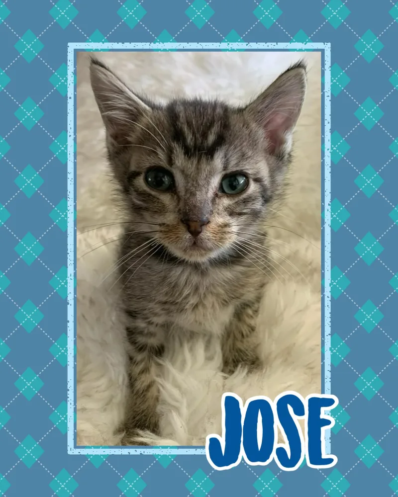 Jose thumbnail 2
