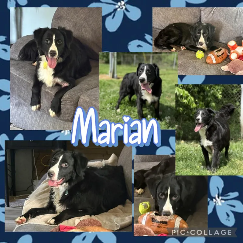 Marian thumbnail 4