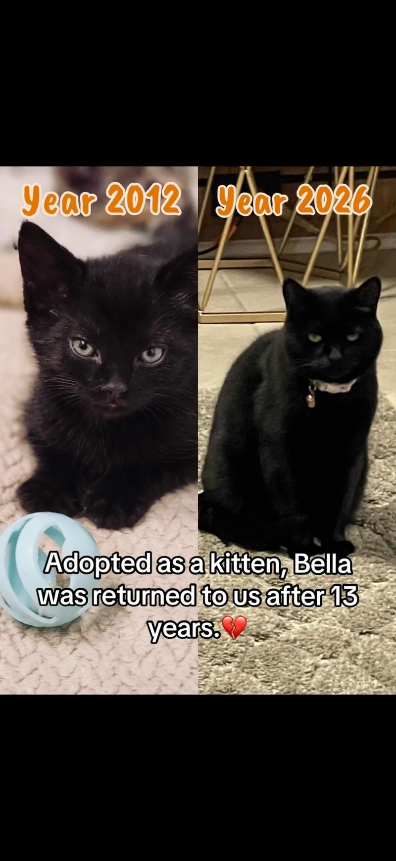Bella thumbnail 4