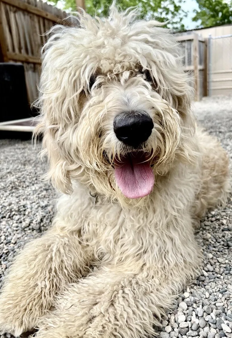 Murphy thumbnail 2