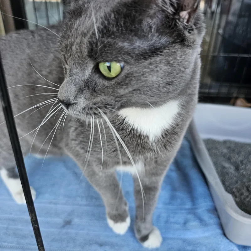 Tinkerbell thumbnail 2