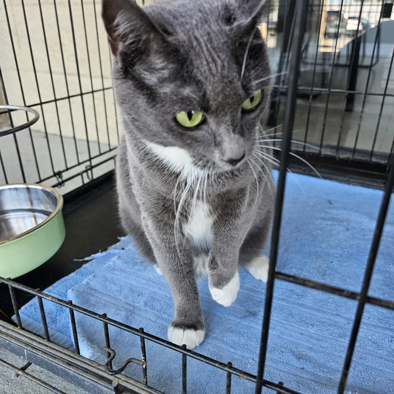 Tinkerbell thumbnail 3