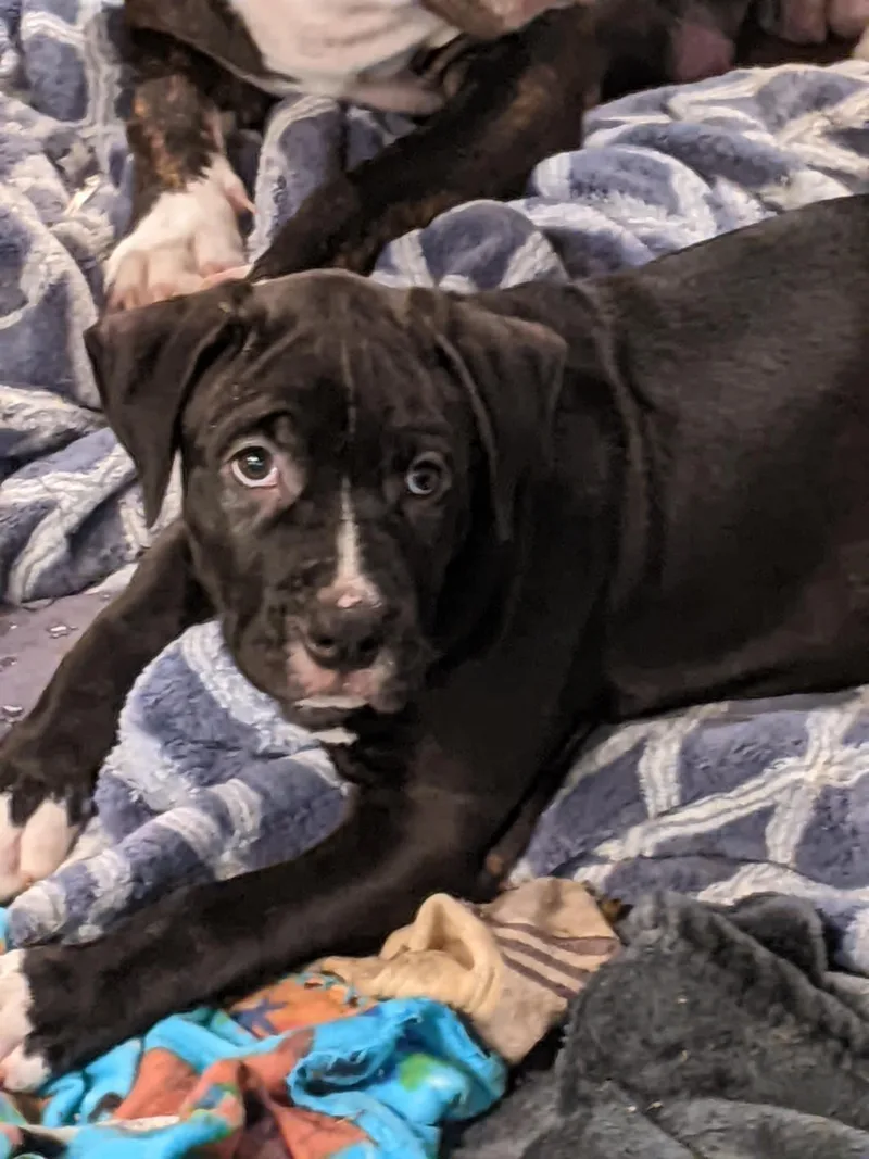 Bullseye thumbnail 3