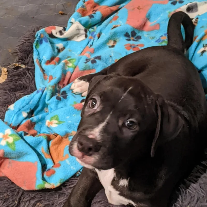 Bullseye thumbnail 6