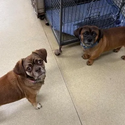 Nessie & Charlie Brown