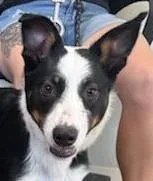 Dakota