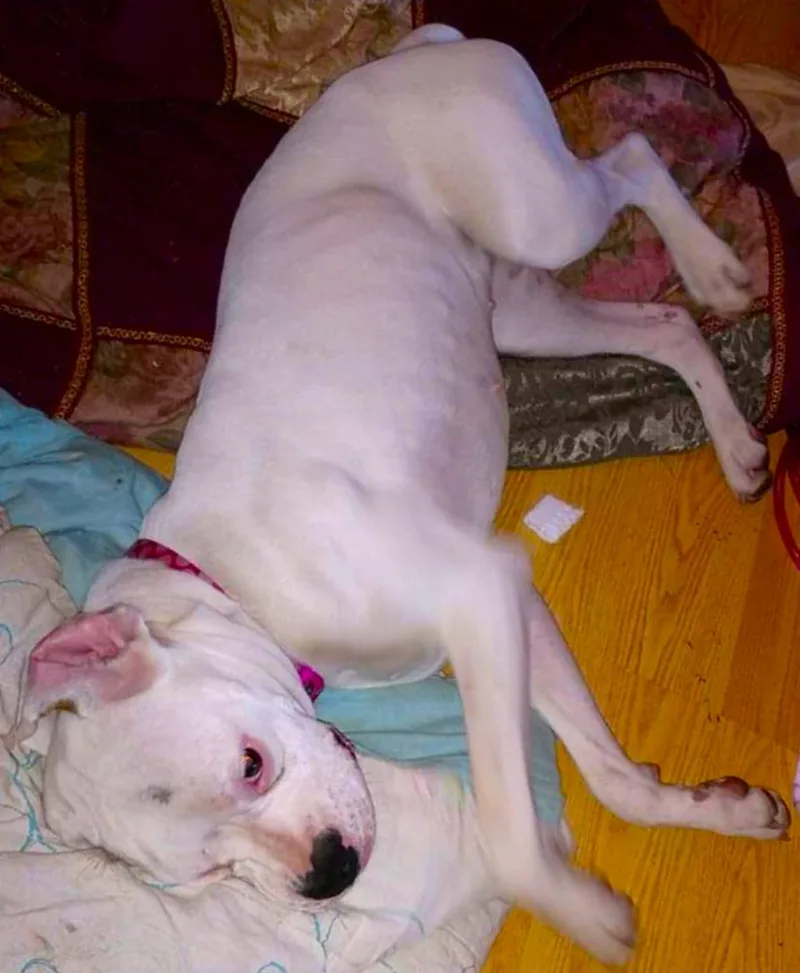 Ryleigh Ii thumbnail 3