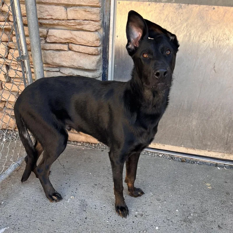 Constantine thumbnail 2