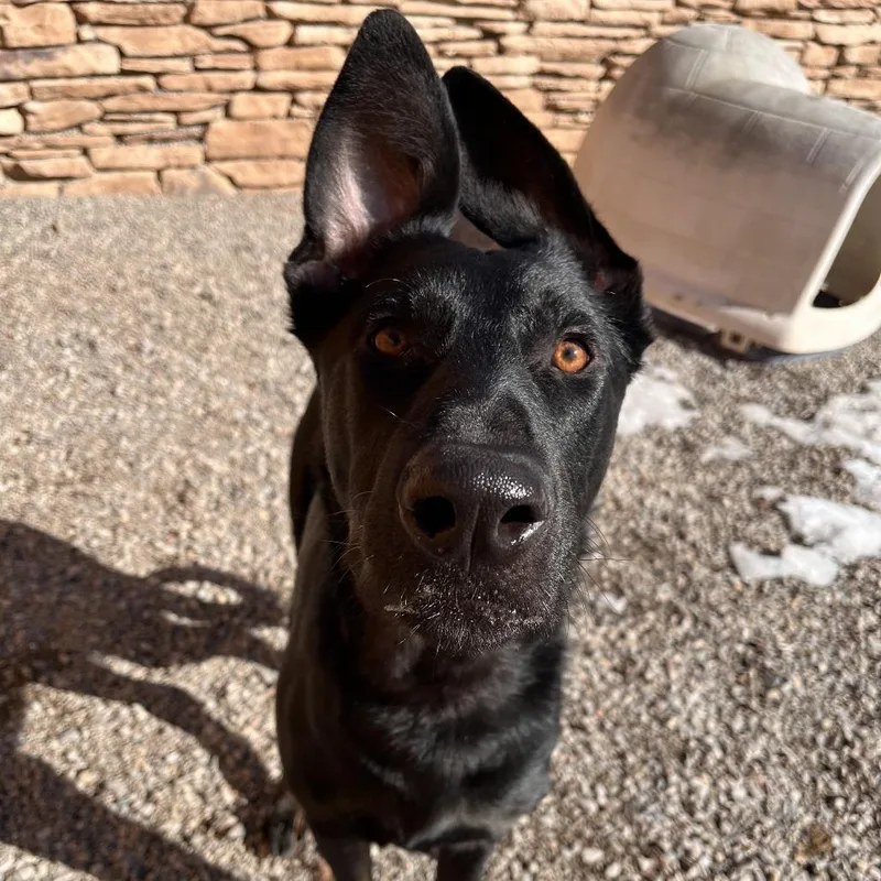 Constantine thumbnail 3