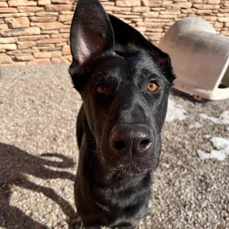 Constantine thumbnail 4