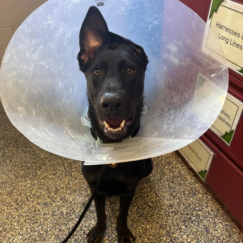 Constantine thumbnail 5