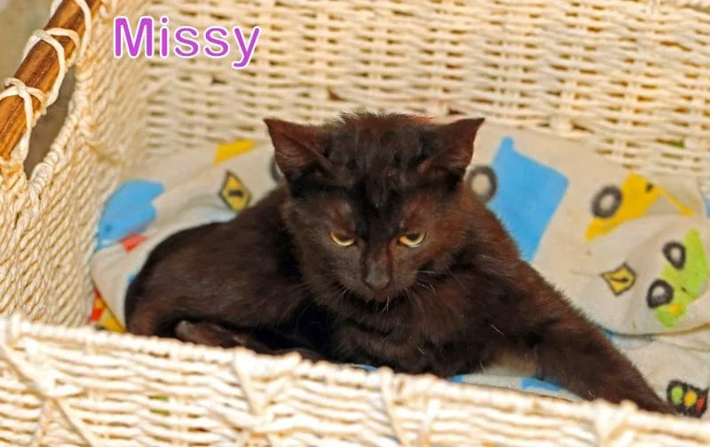 Missy thumbnail 3