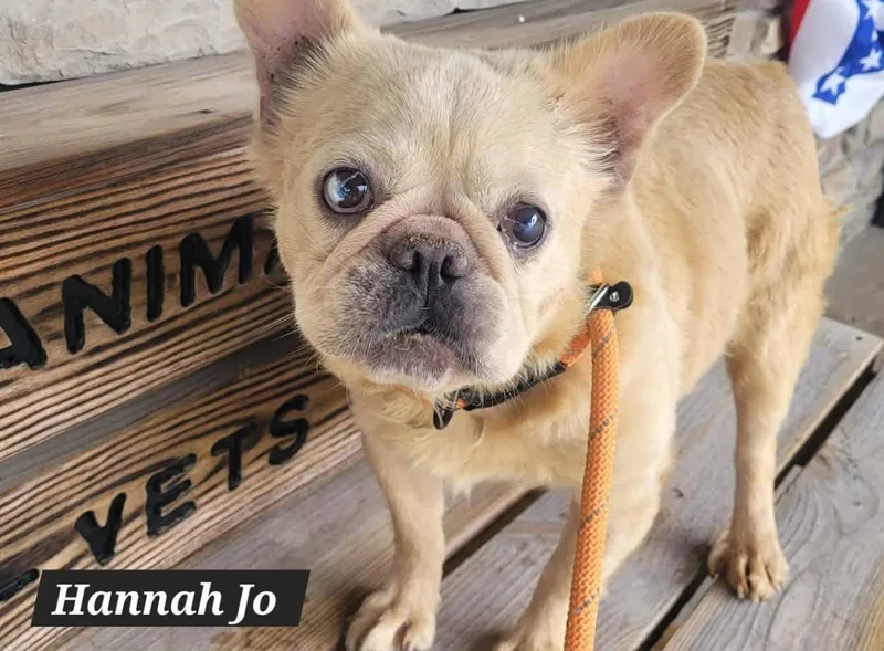 Hannah Jo