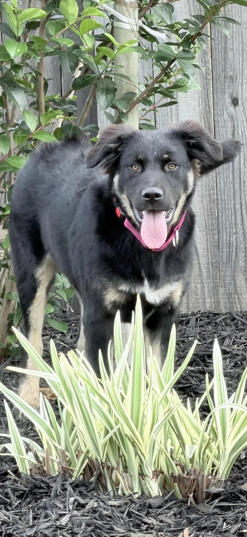 Reilly  Sweet As thumbnail 5