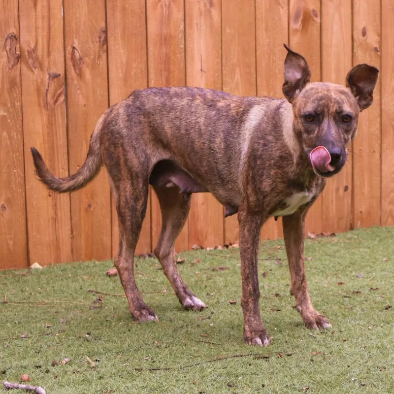 Daisy Jum thumbnail 2