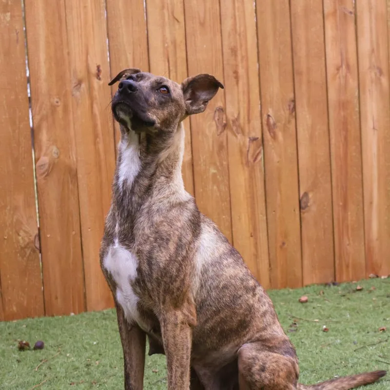 Daisy Jum thumbnail 4