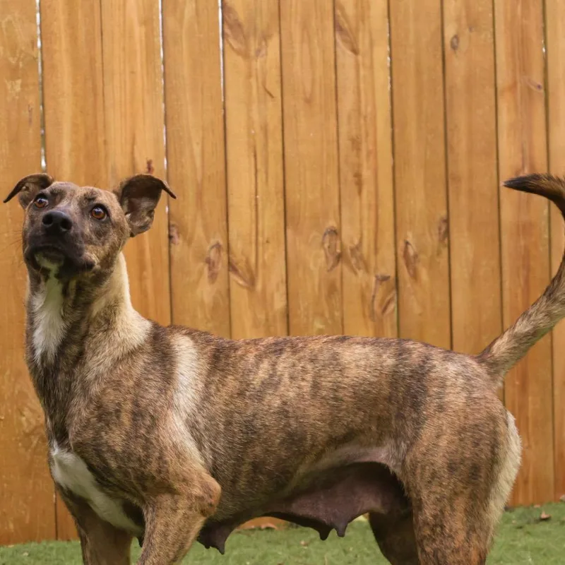 Daisy Jum thumbnail 5