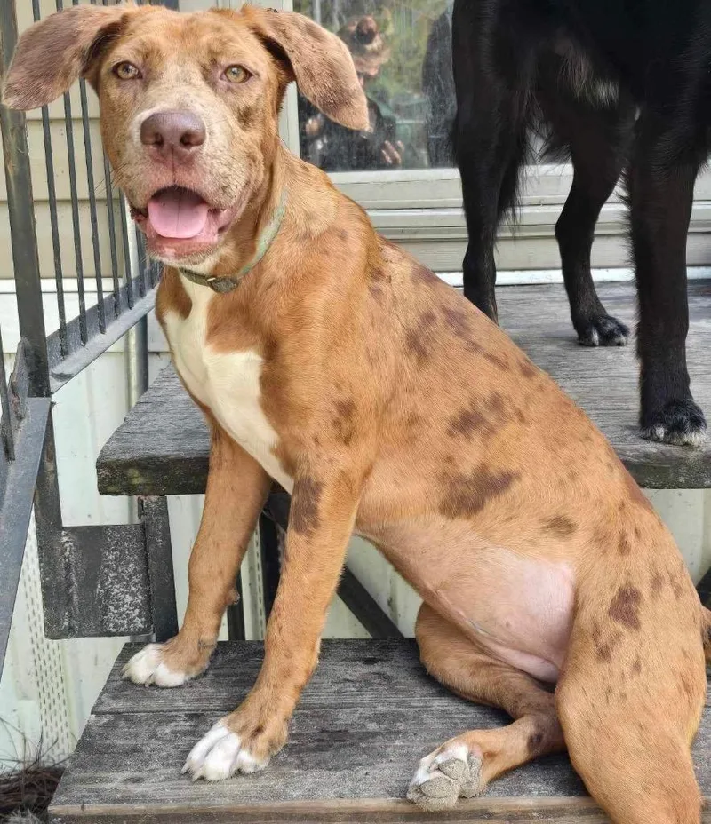 Janey Doe thumbnail 2