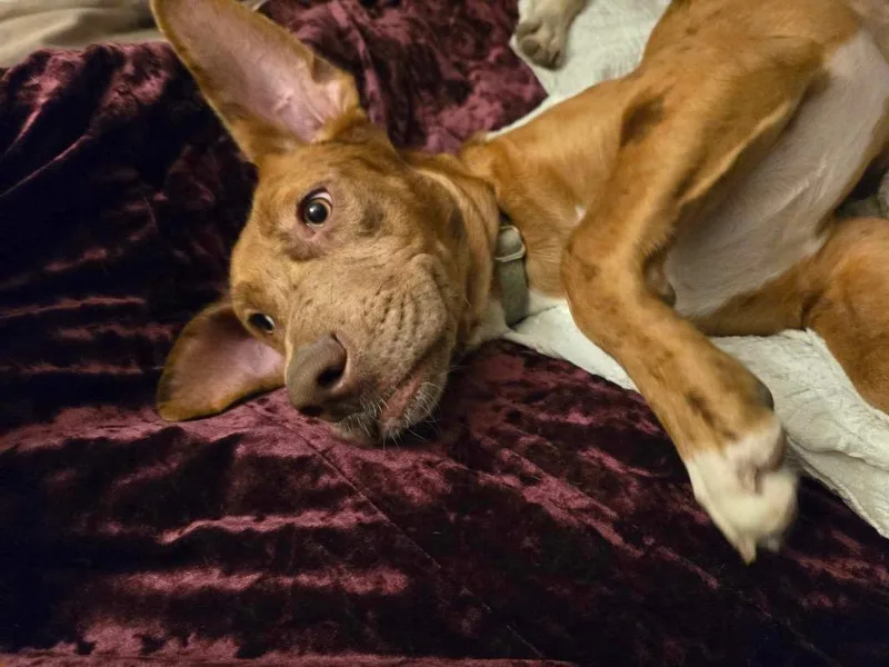 Janey Doe thumbnail 3