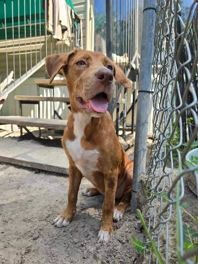 Janey Doe thumbnail 4