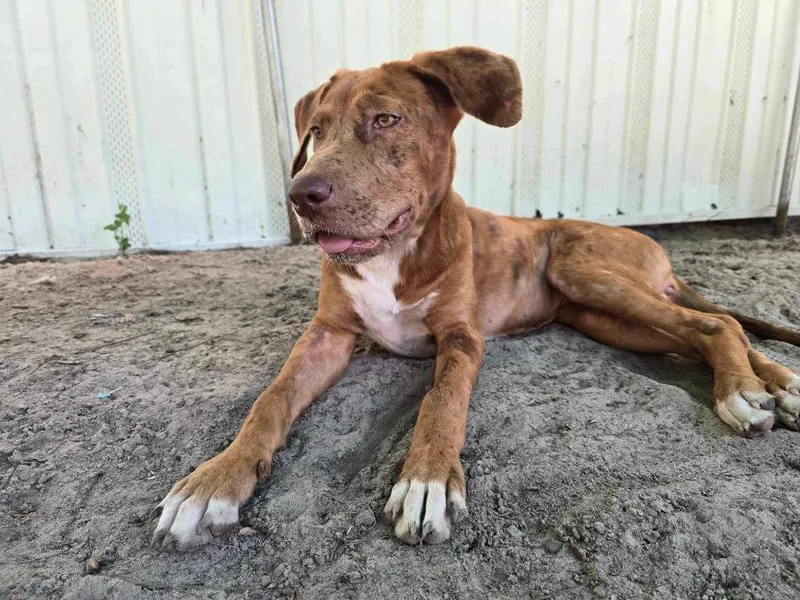 Janey Doe thumbnail 5