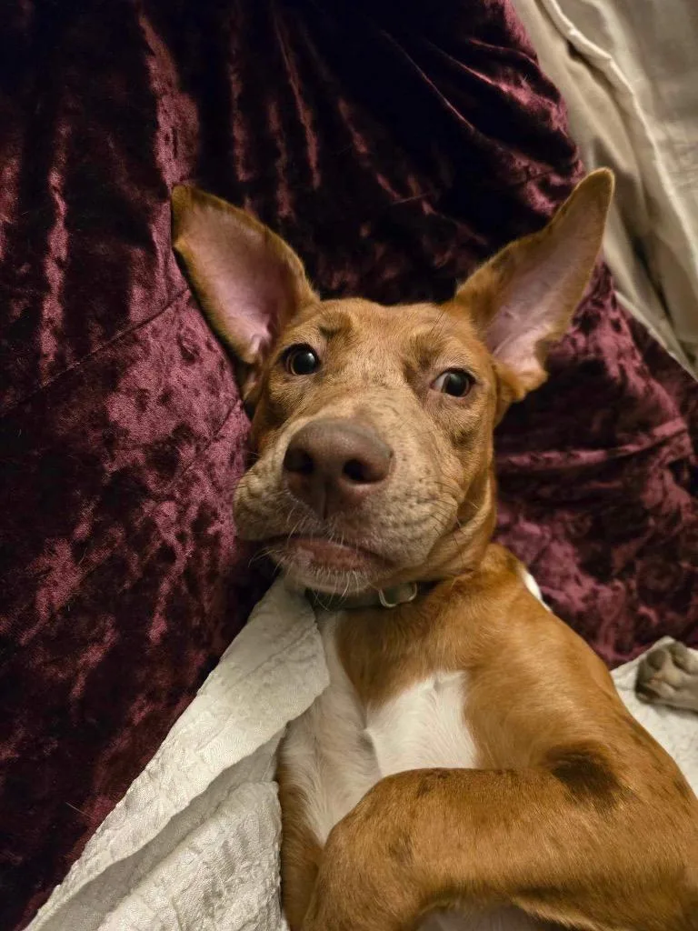 Janey Doe thumbnail 6