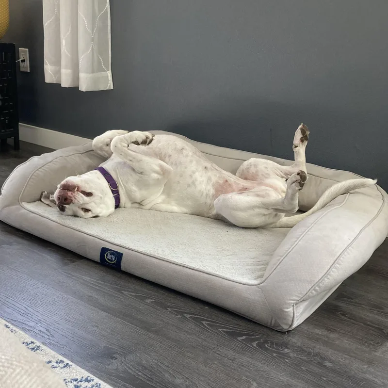 Honey Comb thumbnail 4