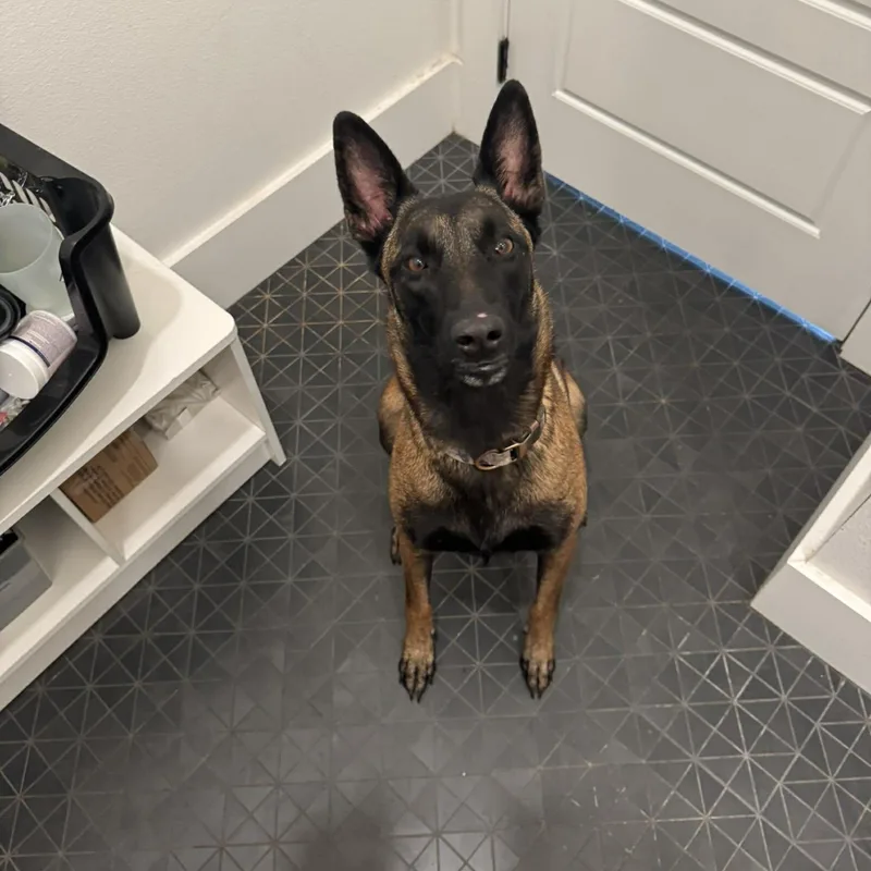 Remi