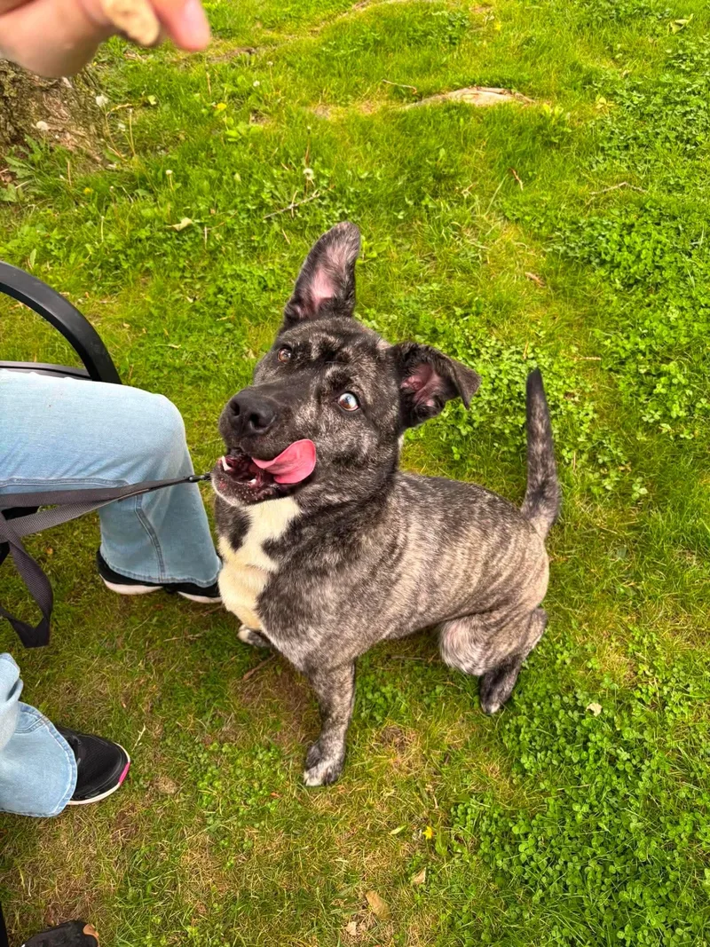 Max