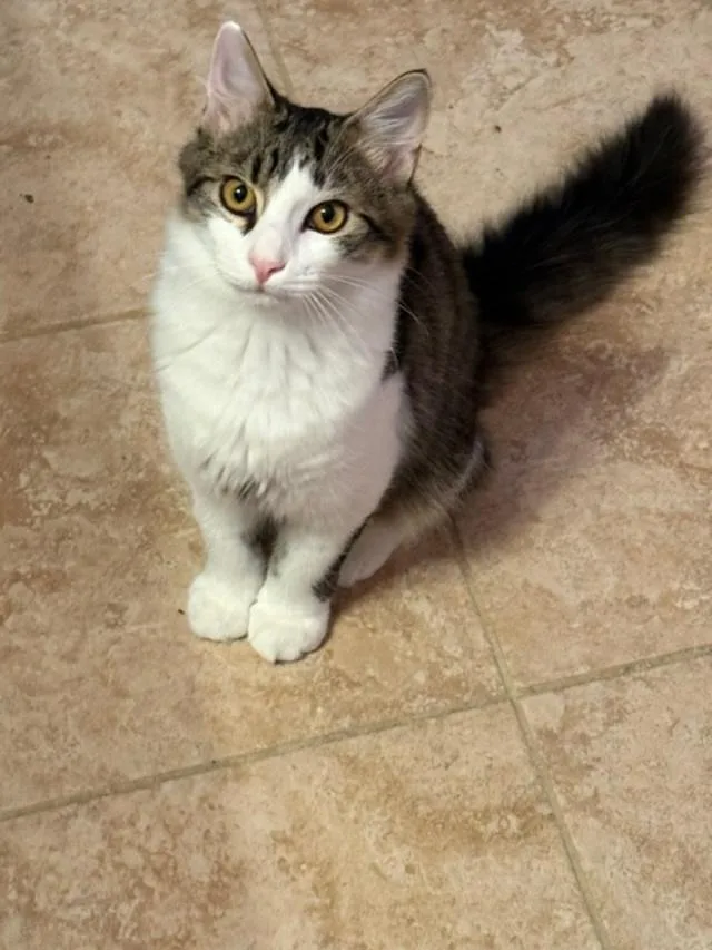 Oliver