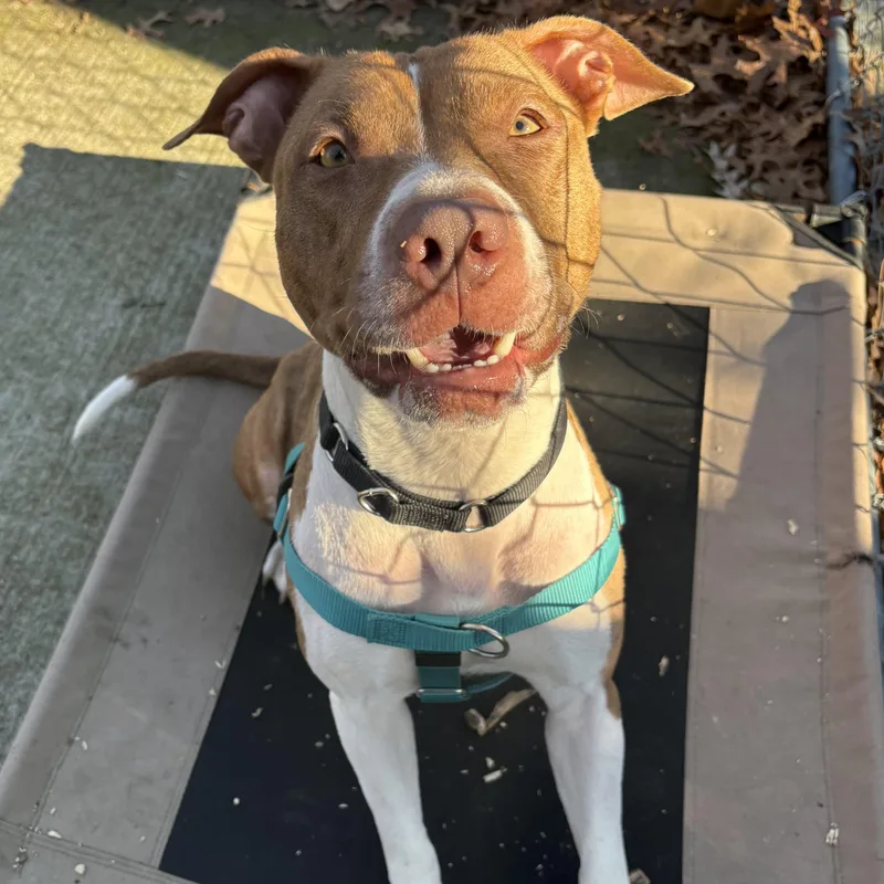 Cinnababy thumbnail 2