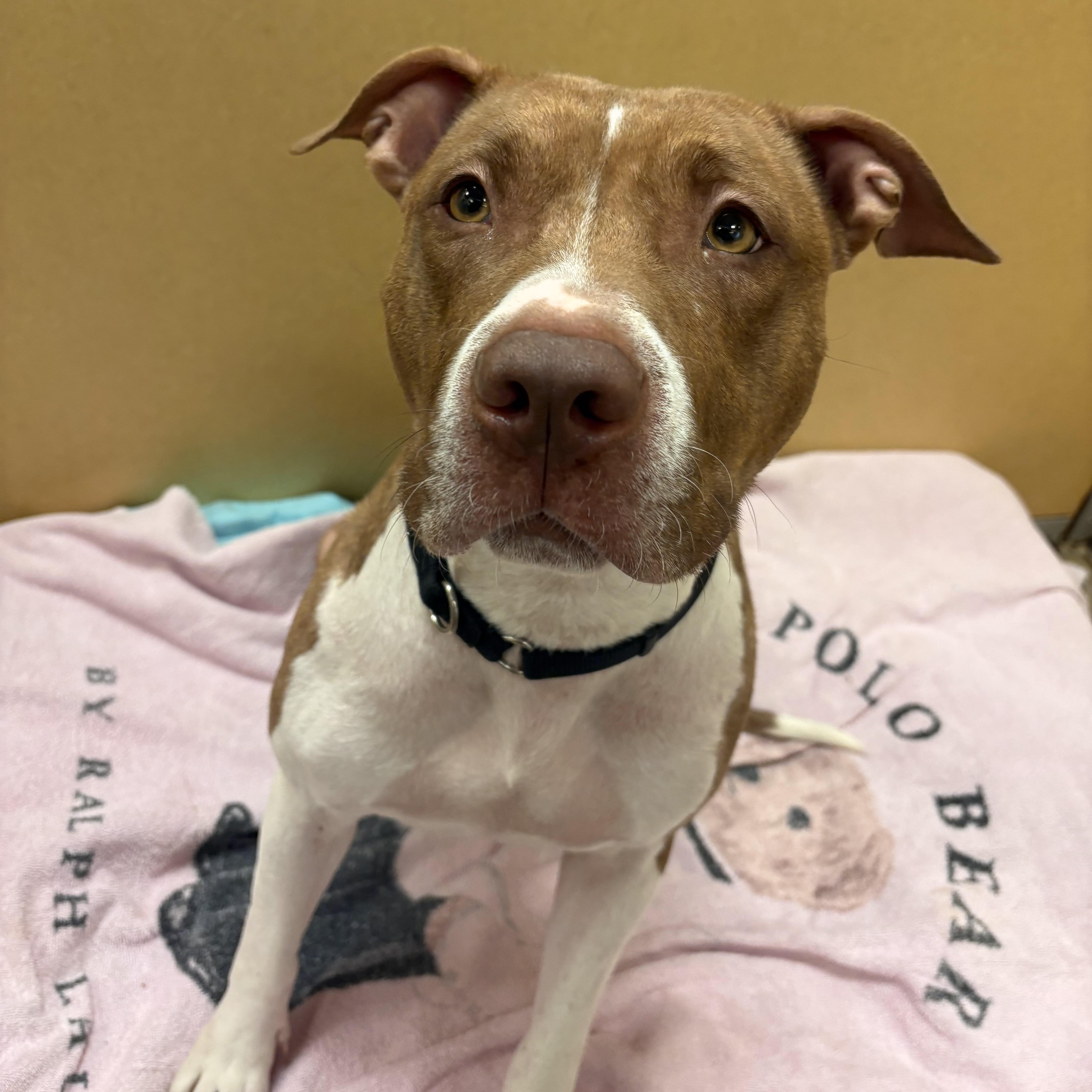 Cinnababy thumbnail 4