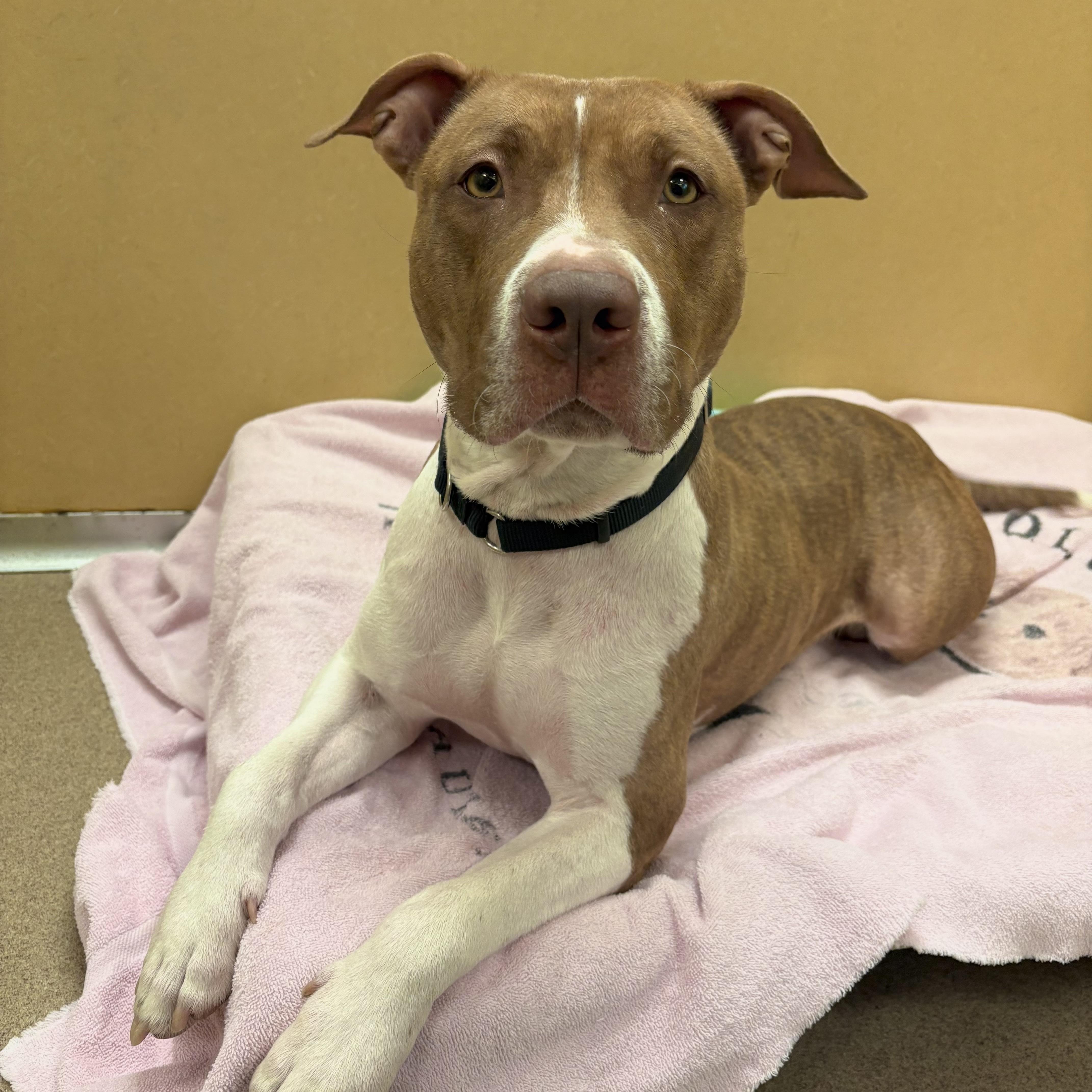 Cinnababy thumbnail 5