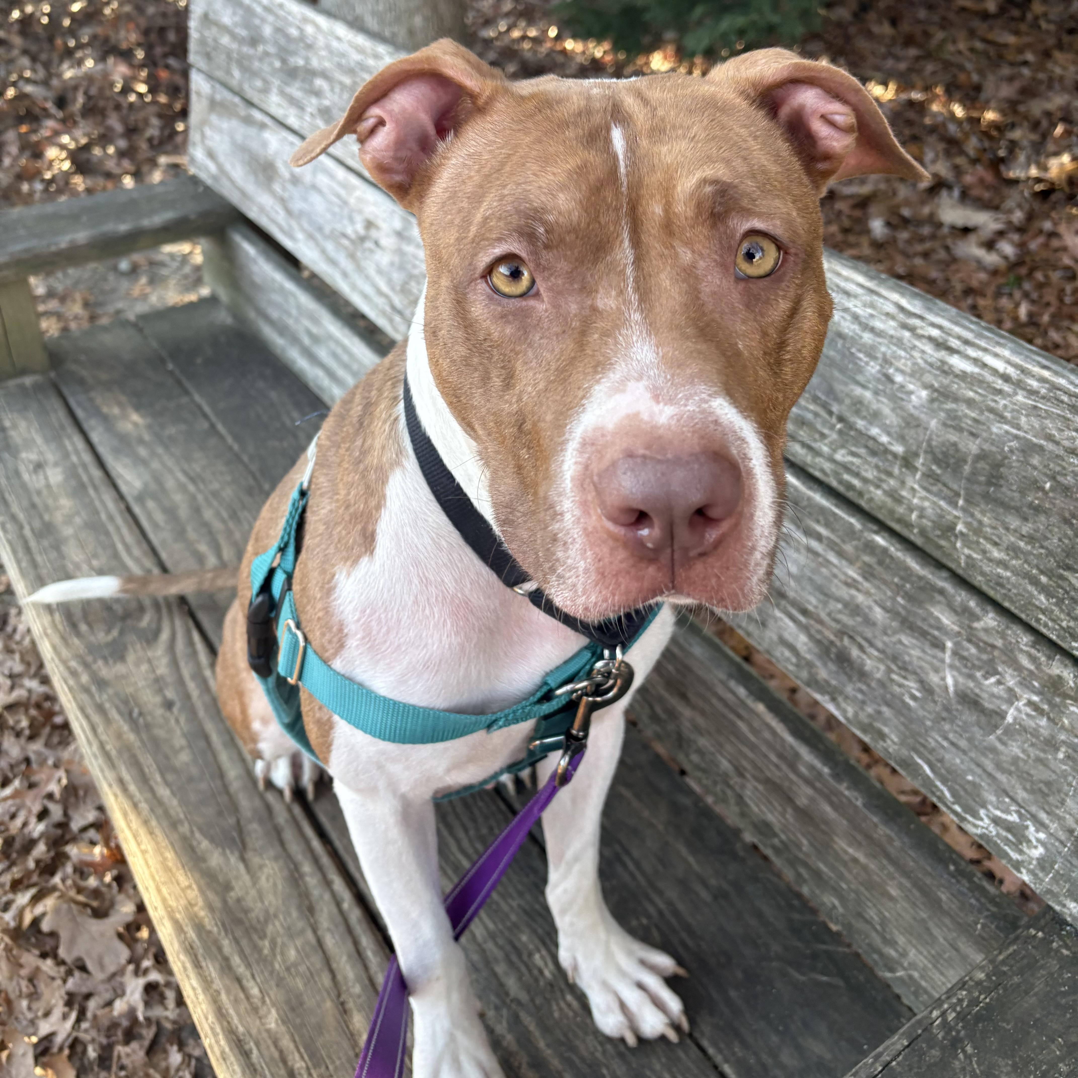 Cinnababy thumbnail 6