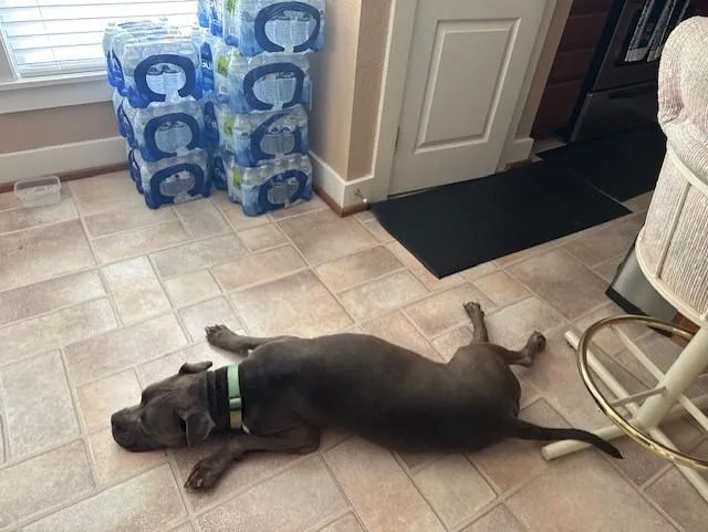 C Roscoe thumbnail 2