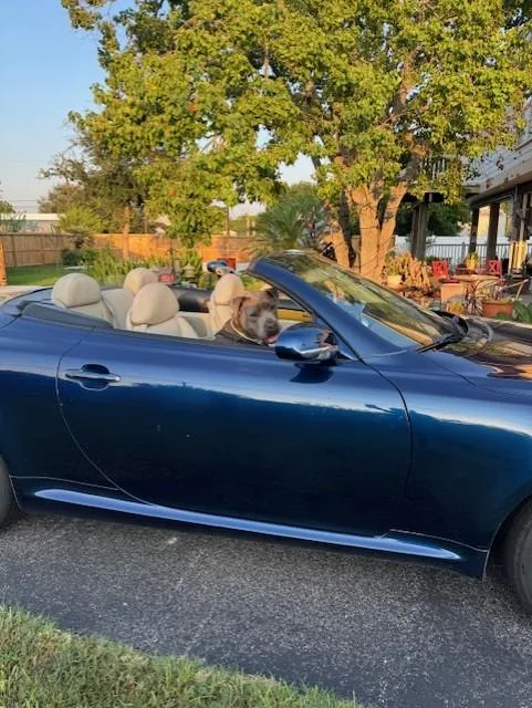 C Roscoe thumbnail 3